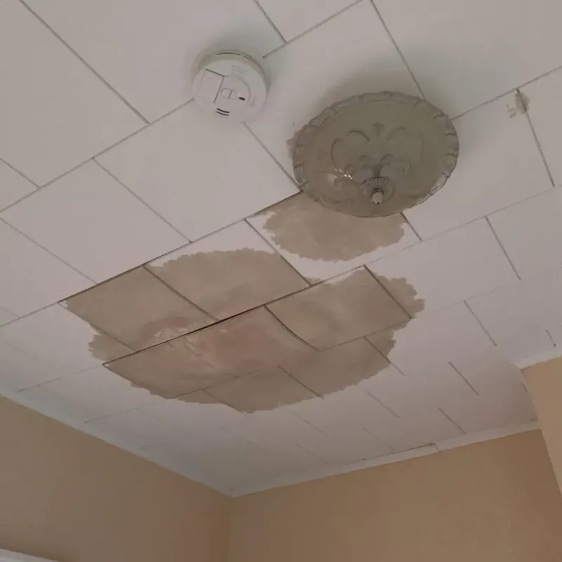 Ceiling Water Damage Repair in Brookston, IN