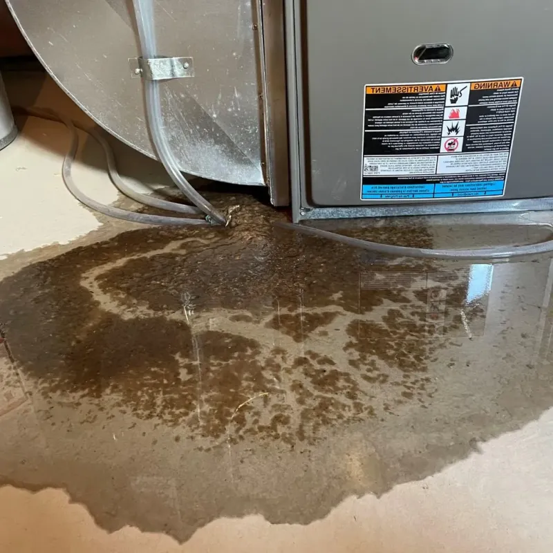 Pipe Burst and Leak Restoration in Brookston, IN