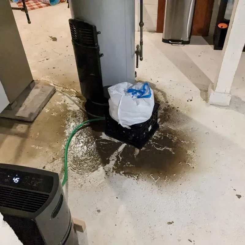 Sewage Backup Cleanup Service in Brookston, IN